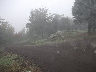 fugio Pirao-20101010 120